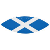 De vlag van het Patriottisch-Amerikaanse football  (Paneel)