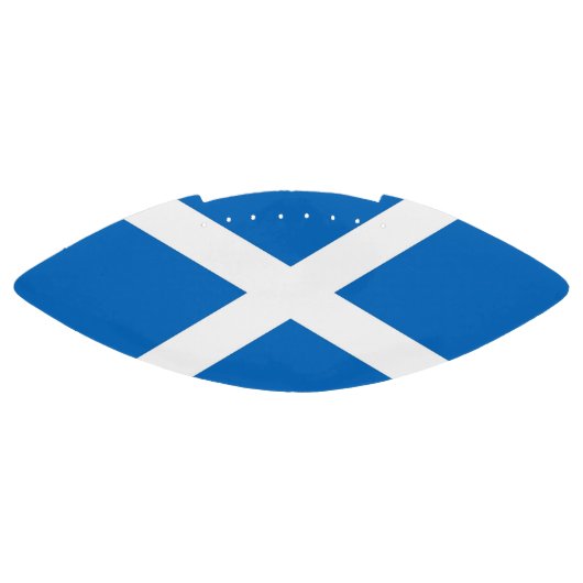 De vlag van het Patriottisch-Amerikaanse football (Paneel)