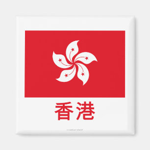 De Vlag van Hong Kong met Naam in het Chinees Magneet