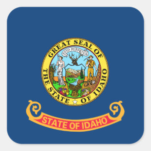 De vlag van Idaho: de Gem State, America Mountain Vierkante Sticker