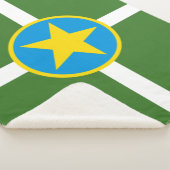 De vlag van Jackson (Mississippi) Sherpa Deken (3/4)
