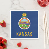 De vlag van Kansas Servet (Insitu)