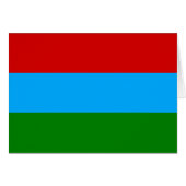 De vlag van Karelië (Voorkant Horizontaal)