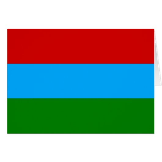 De vlag van Karelië (Voorkant Horizontaal)