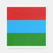 De vlag van Karelië Servet (Voorkant)