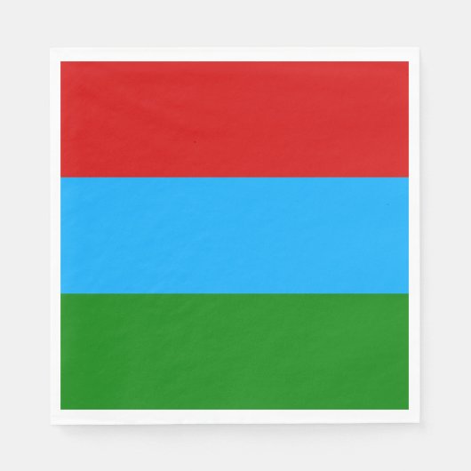 De vlag van Karelië Servet (Voorkant)