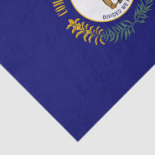 De vlag van Kentucky Tissuepapier (Detail)