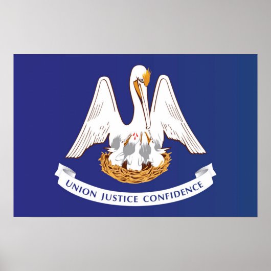 De vlag van Louisiana, Verenigde Staten van Amerik Poster (Voorkant)