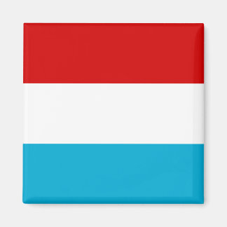 De vlag van Luxemburg Magneet