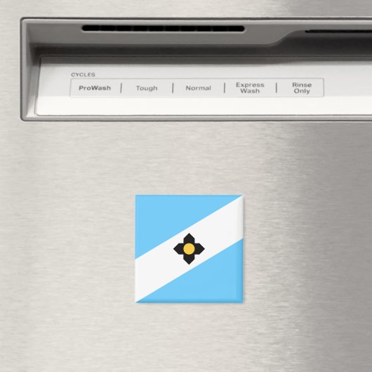 De vlag van Madison (Wisconsin) Magneet (Insitu (Vaatwasser))