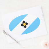 De vlag van Madison, Wisconsin Ovale Sticker (Envelop)