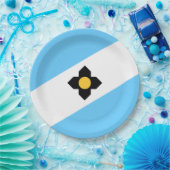 De vlag van Madison (Wisconsin) Papieren Bordje (Feest)