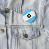 De vlag van Madison, Wisconsin Pinback Button (In situ)