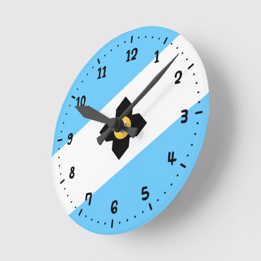 De vlag van Madison, Wisconsin Ronde Klok (Hoek)