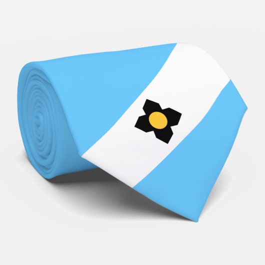 De vlag van Madison (Wisconsin) Stropdas (Opgerold)