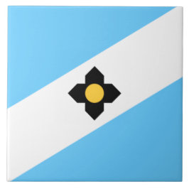 De vlag van Madison (Wisconsin) Tegeltje