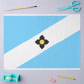 De vlag van Madison (Wisconsin) Tissuepapier (Craft)