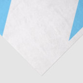 De vlag van Madison (Wisconsin) Tissuepapier (Detail)