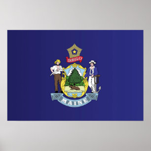 De vlag van Maine, Verenigde Staten van Amerika Poster