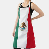 De vlag van Mexico Schort (Insitu)