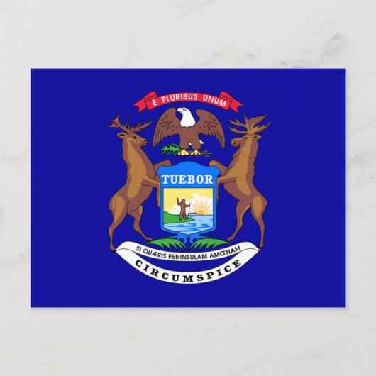 De Vlag van Michigan Briefkaart (Voorkant)