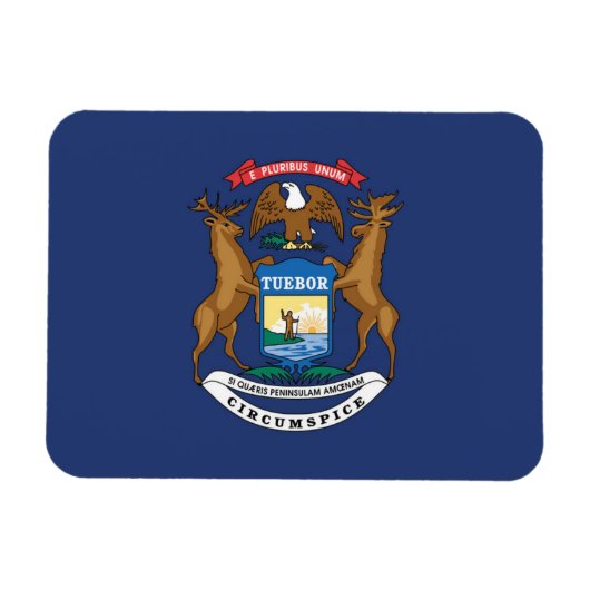 De vlag van Michigan, Verenigde Staten van Amerika Magneet (Horizontaal)