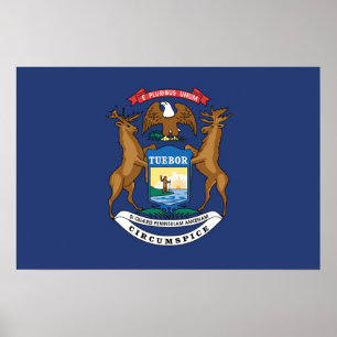 De vlag van Michigan, Verenigde Staten van Amerika Poster