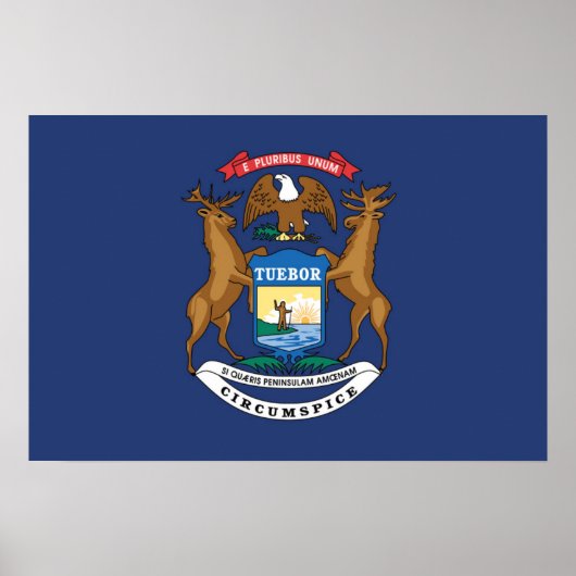 De vlag van Michigan, Verenigde Staten van Amerika Poster (Voorkant)