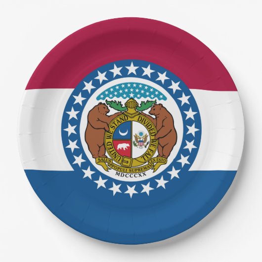 De vlag van Missouri Papieren Bordje (Voorkant)