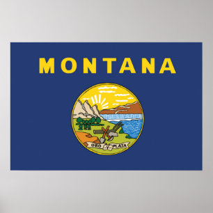 De vlag van Montana, Verenigde Staten van Amerika Poster