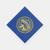 De vlag van Nebraska Servet (Hoek)