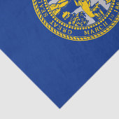De vlag van Nebraska Tissuepapier (Detail)