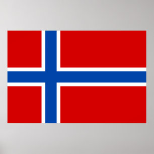 De vlag van Noorwegen Poster