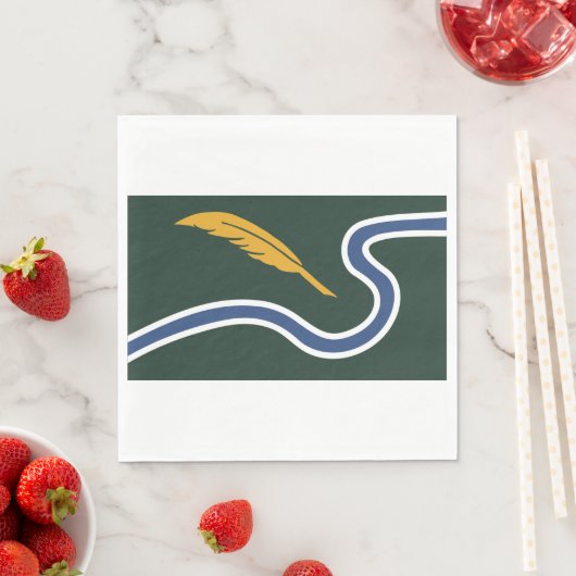 De vlag van Northampton (Massachusetts, VS) Servet (Insitu)