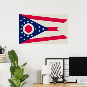 De vlag van Ohio: The Buckeye State Banner Poster