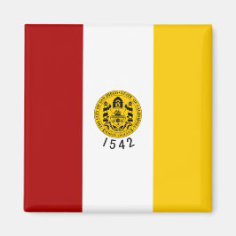 De vlag van San Diego (Californië) Magneet