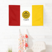 De vlag van San Diego (Californië) Spandoek (Insitu)
