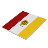 De vlag van San Diego (Californië) Tegeltje (Zijkant)