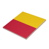 De vlag van Schagen Tegeltje (Zijkant)