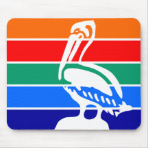 De vlag van Sint-Petersburg (Florida)