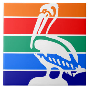 De vlag van Sint-Petersburg (Florida) Tegeltje