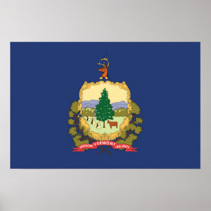 De vlag van Vermont, Verenigde Staten van Amerika Poster