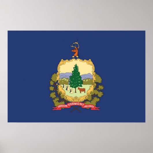 De vlag van Vermont, Verenigde Staten van Amerika Poster (Voorkant)