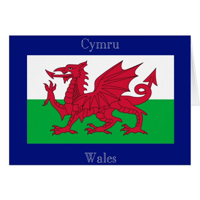 De vlag van Wales (Voorkant Horizontaal)