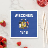 De vlag van Wisconsin Servet (Insitu)