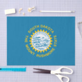De vlag van Zuid-Dakota Tissuepapier (Craft)