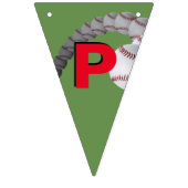 De VLAGGEN van de Banner van de Verjaardag van het (Derde vlag)