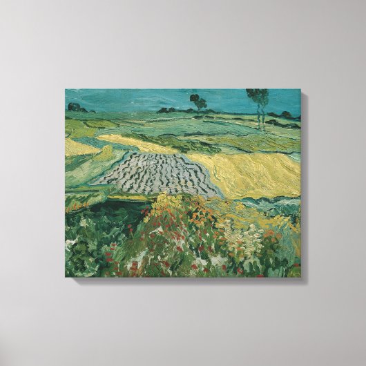 De vlakte van Auvers - Vincent van Gogh Canvas Afdruk (Voorkant)