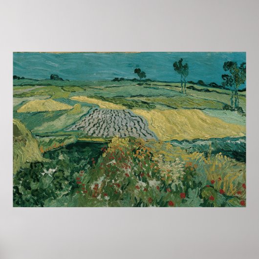 De vlakte van Auvers - Vincent van Gogh Poster (Voorkant)