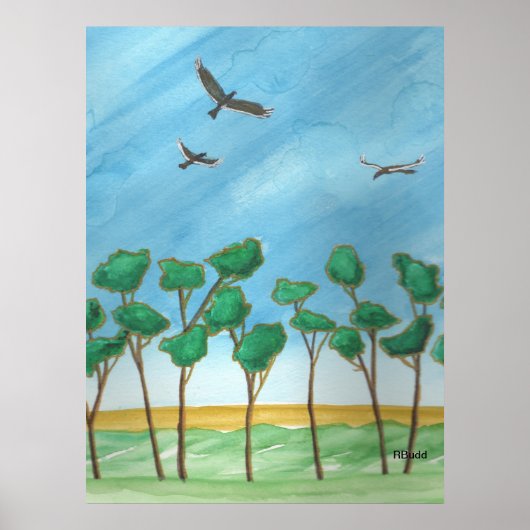 De vlaktes met eucalyptusbomen poster (Voorkant)